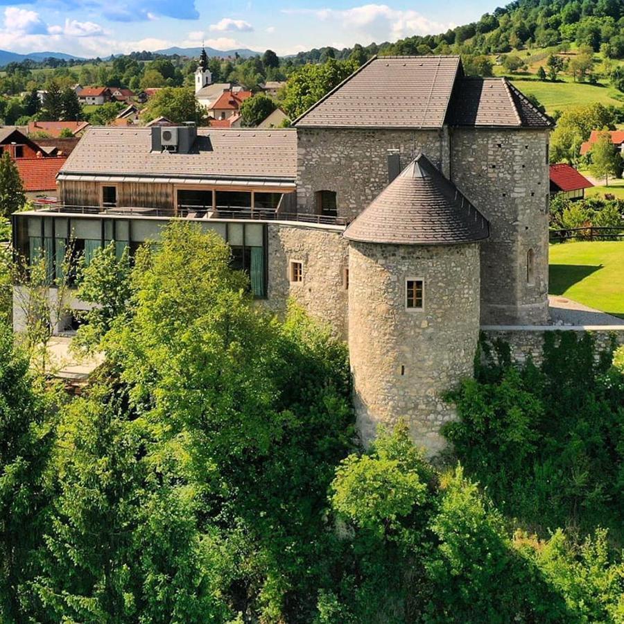 ホテル Vinica Castle エクステリア 写真